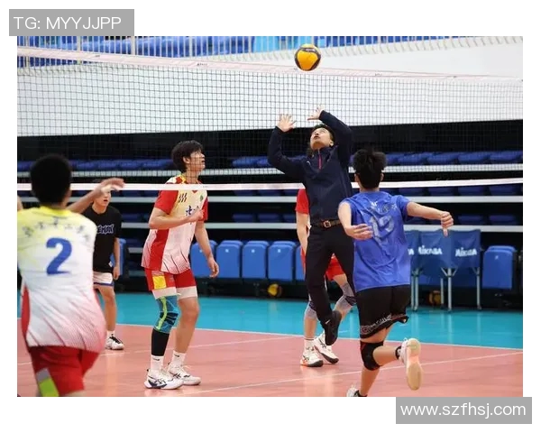 北京排球队排球配合创新高引发全国关注展现团队实力与默契